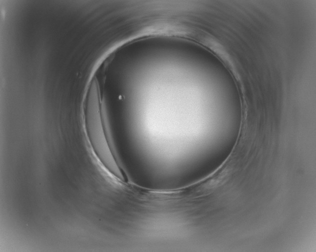 X0000071391344200607071858