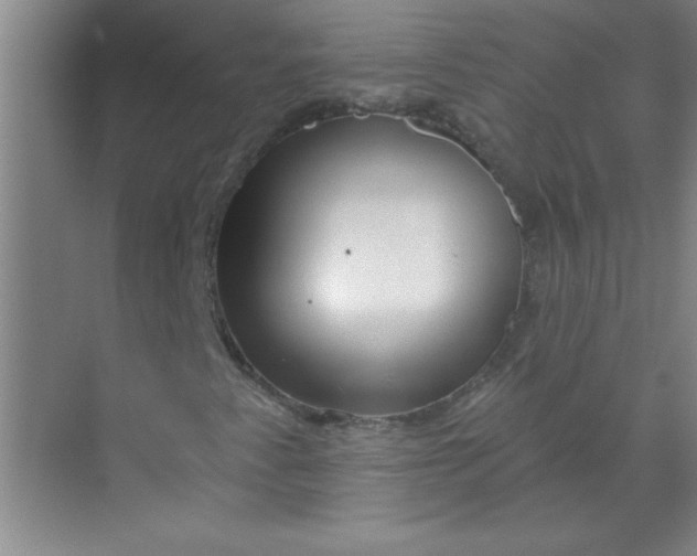 X0000071391345200607071857