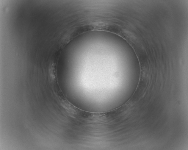 X0000071391346200607071857