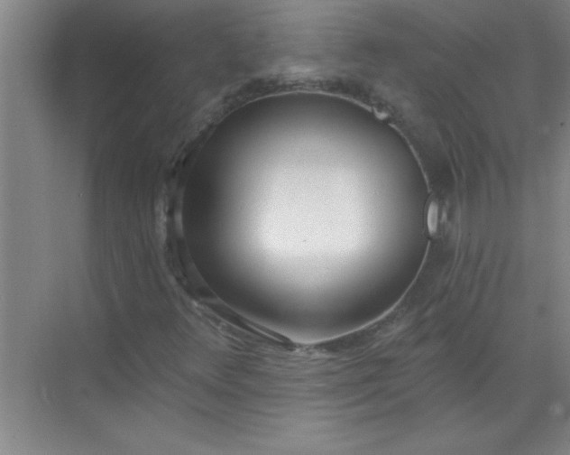 X0000071391348200607071857