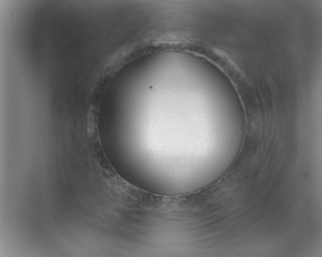 X0000071391350200607071857