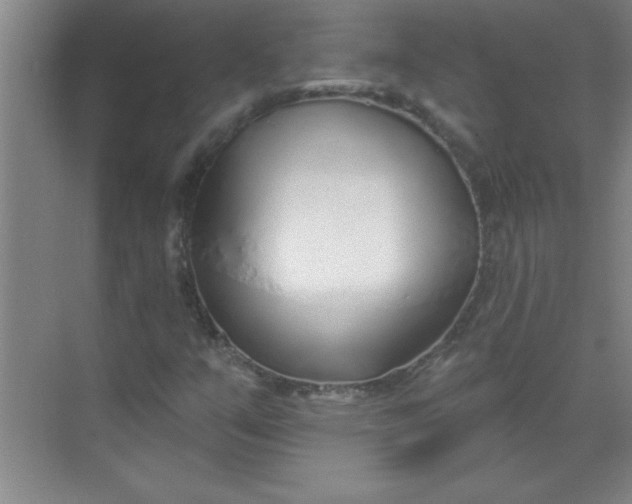 X0000071391351200607071857