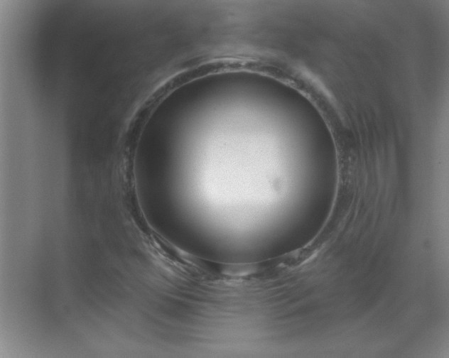 X0000071391352200607071857