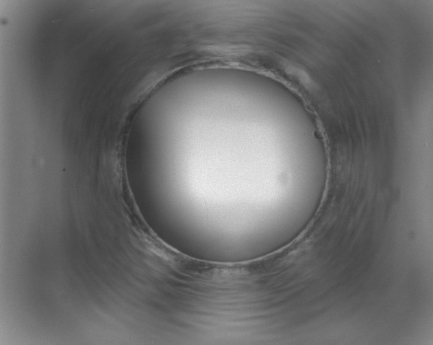 X0000071391354200607071857