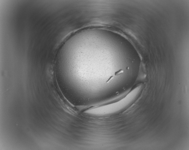 X0000071391355200607071857