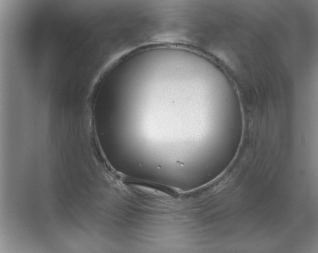 X0000071391358200607071857