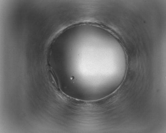 X0000071391359200607071857