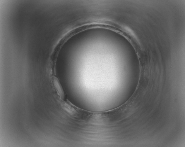 X0000071391360200607071857