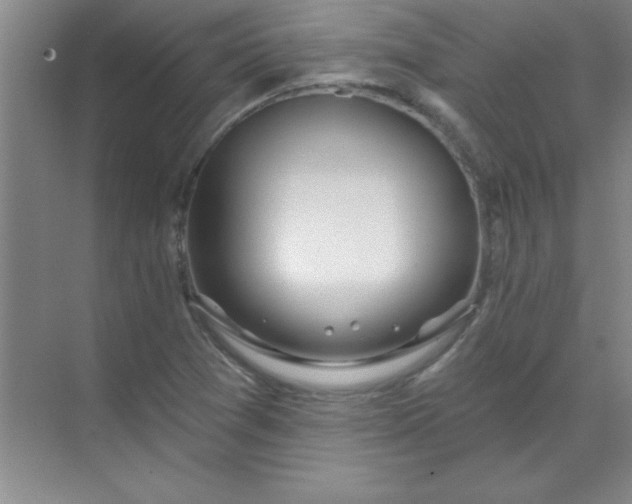 X0000071391361200607071857