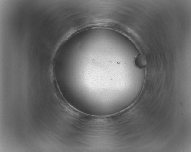 X0000071391362200607071857