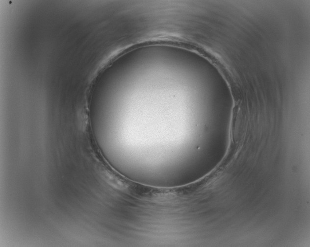 X0000071391363200607071857