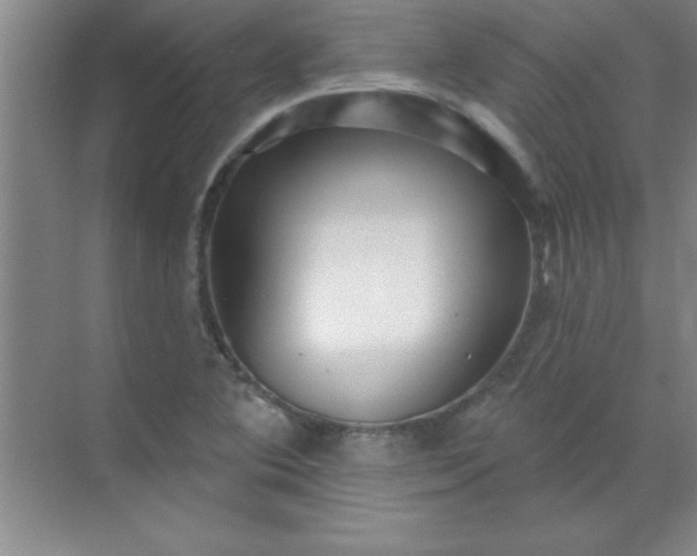 X0000071391364200607071857