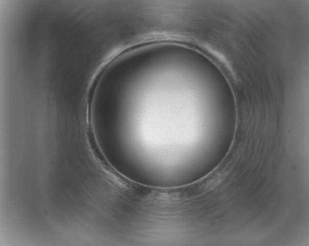 X0000071391365200607071857