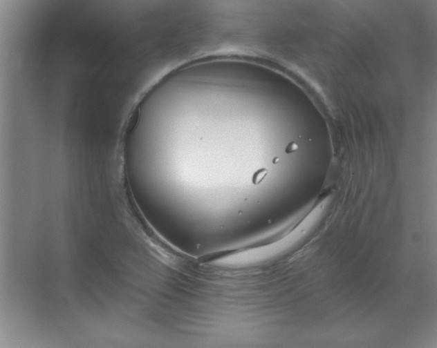 X0000071391367200607071857