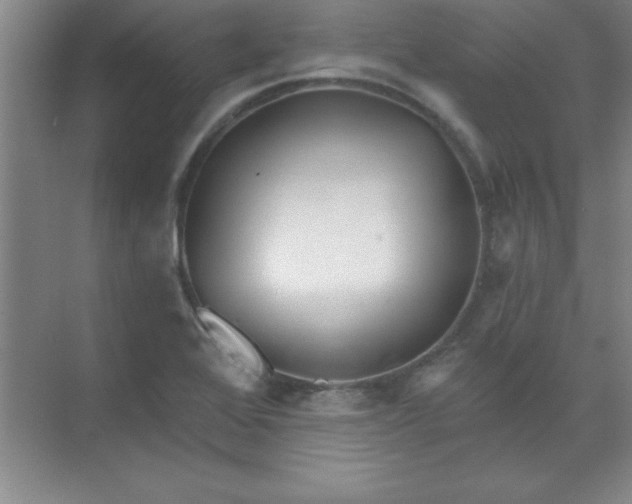 X0000071391368200607071857