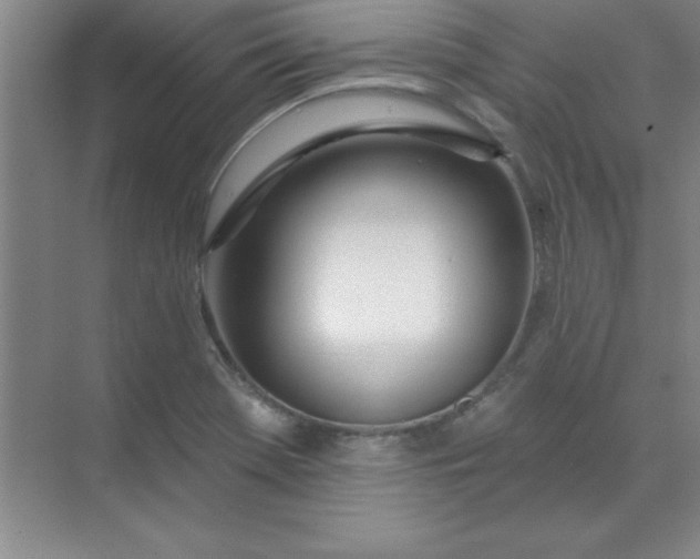 X0000071391369200607071857