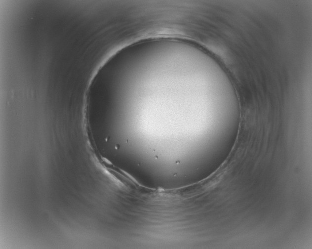 X0000071391374200607071857