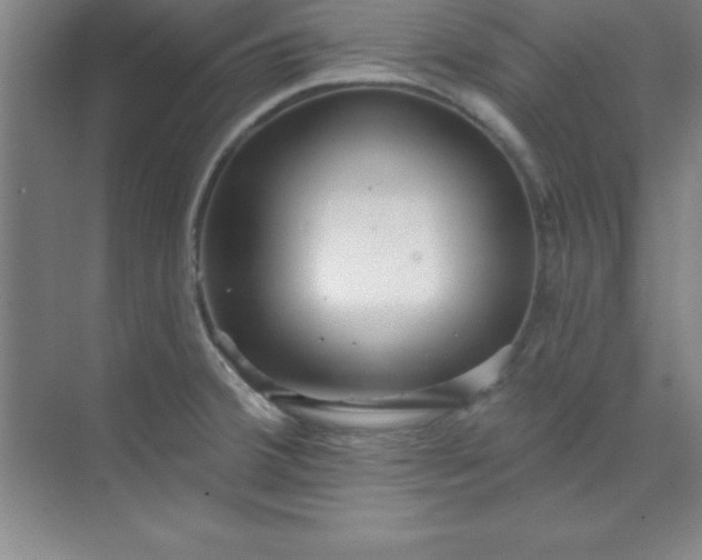 X0000071391380200607071857