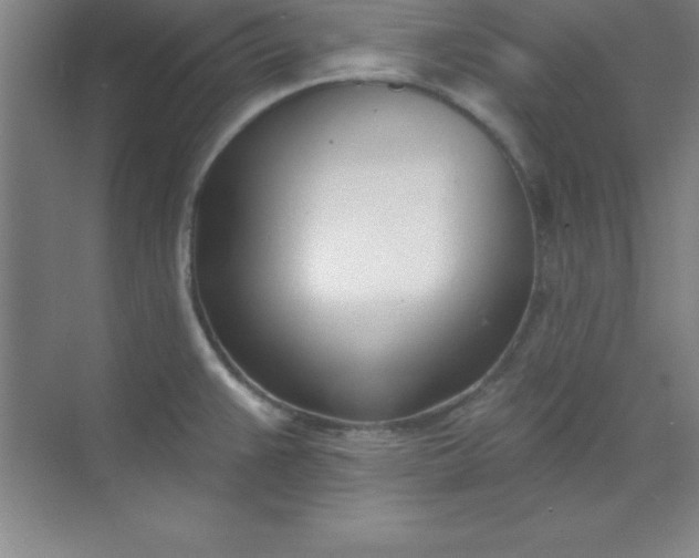 X0000071391383200607071857