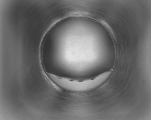 X0000071391384200607071857