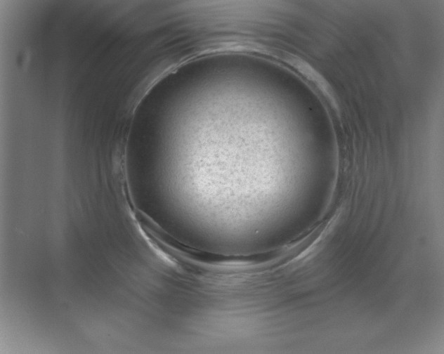 X0000071391385200607071857