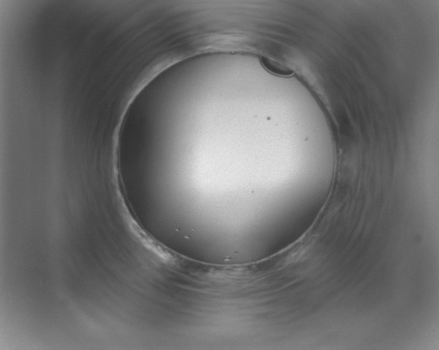 X0000071391386200607071857