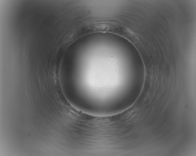 X0000071391394200607071856