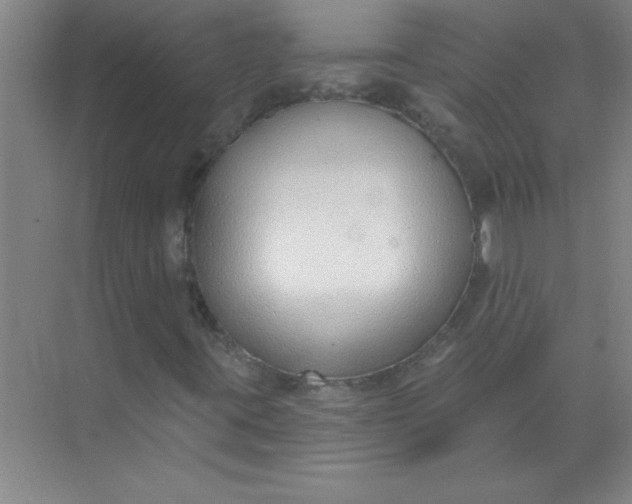 X0000071391395200607071856