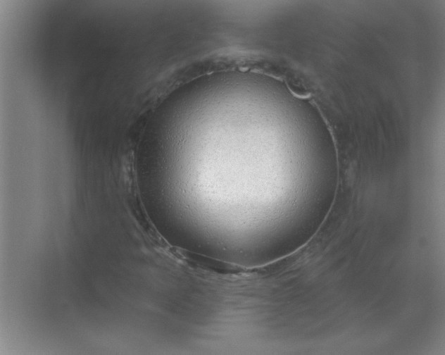 X0000071391397200607071856