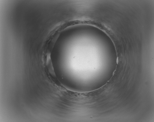 X0000071391398200607071856