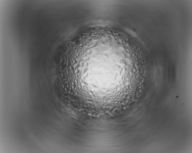 X0000071391399200607071856