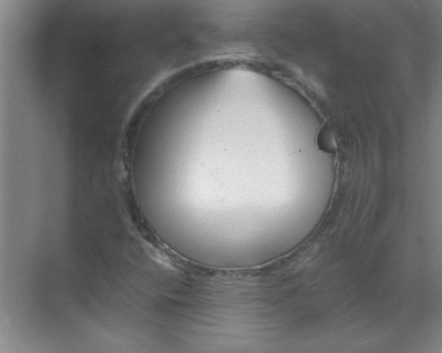 X0000071391400200607071856