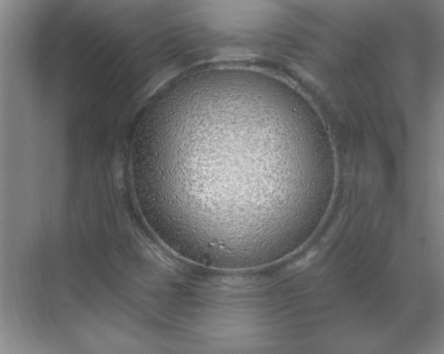 X0000071391401200607071856