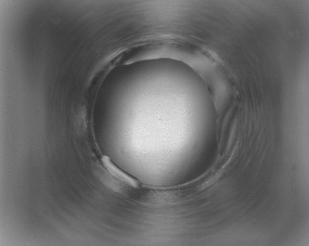 X0000071391402200607071856