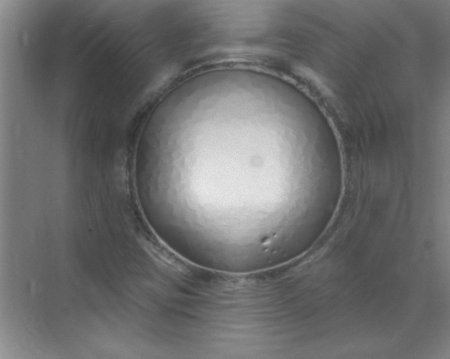 X0000071391403200607071856