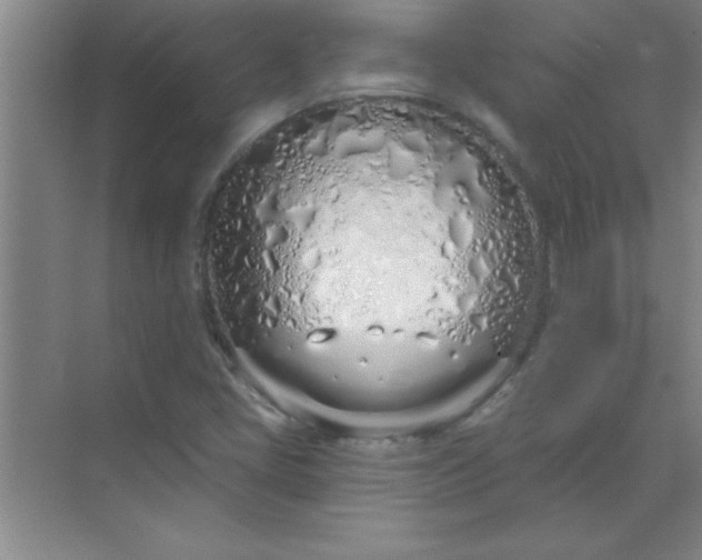 X0000071391405200607071856