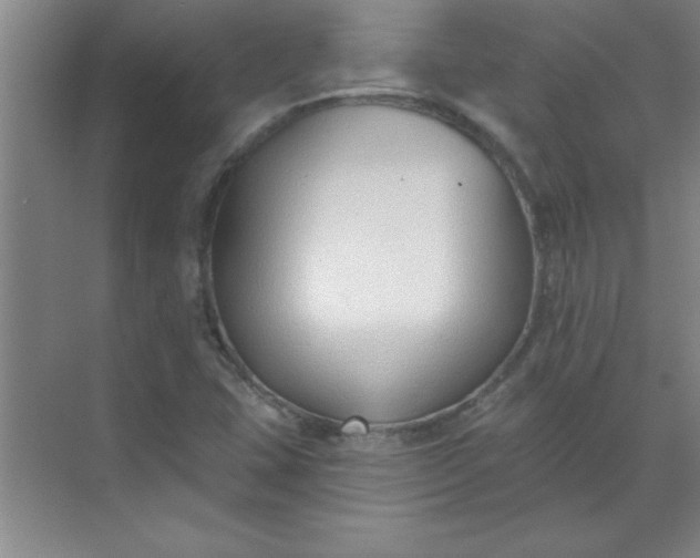 X0000071391407200607071856