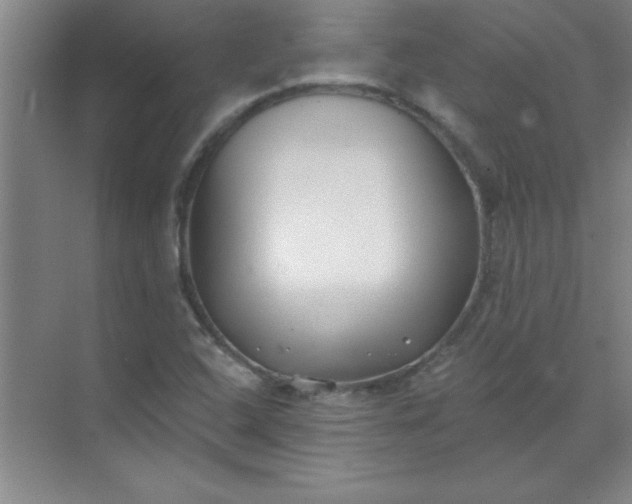 X0000071391408200607071856