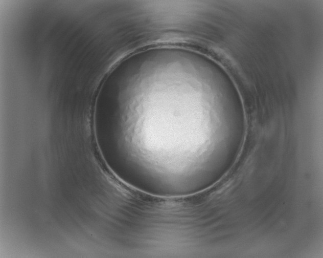 X0000071391409200607071856