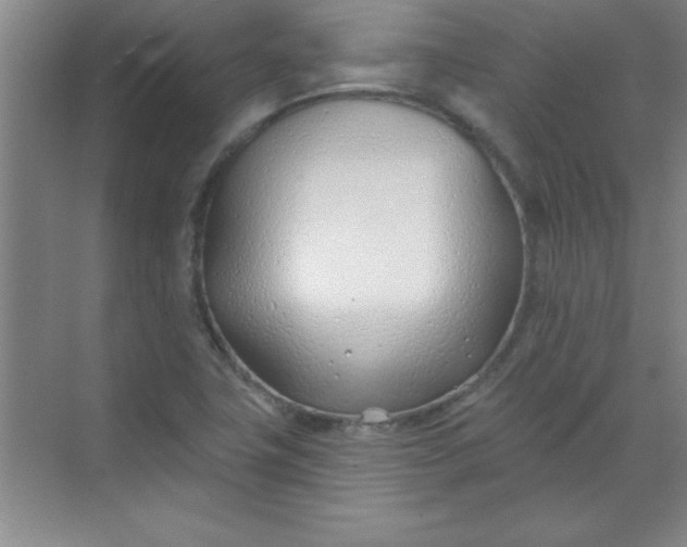 X0000071391411200607071856