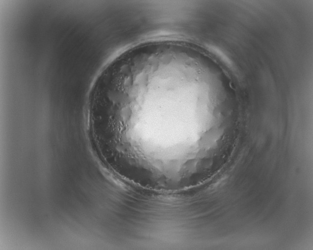 X0000071391413200607071856