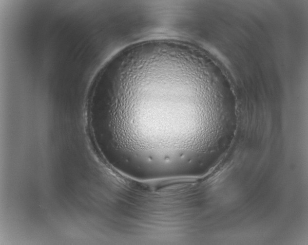 X0000071391415200607071856