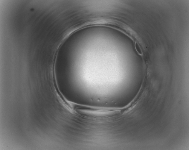 X0000071391417200607071856