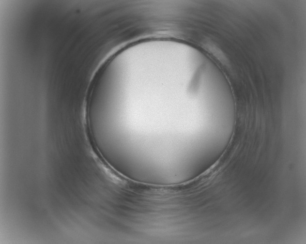 X0000071391420200607071856