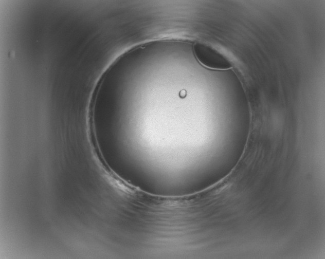 X0000071391423200607071856