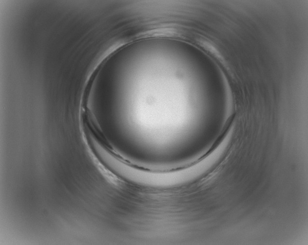 X0000071391426200607071856