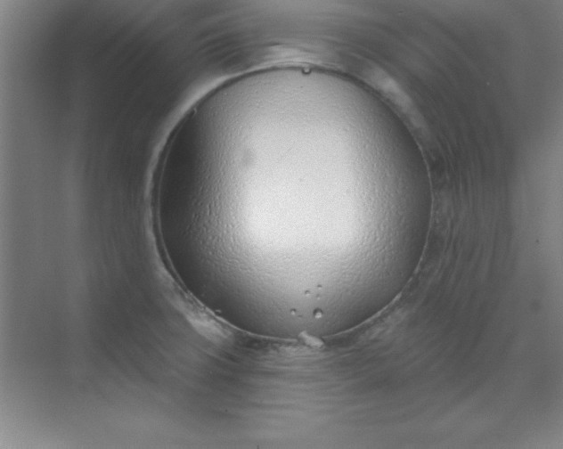 X0000071391427200607071856