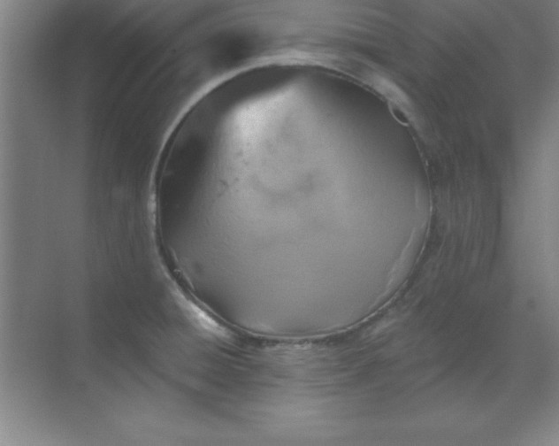 X0000071391428200607071856