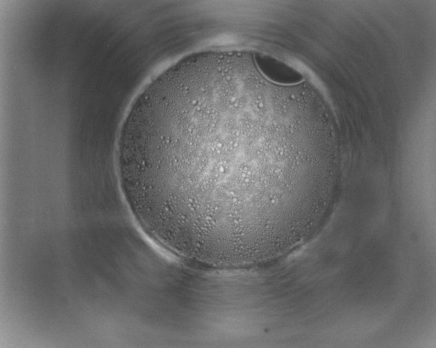 X0000071391429200607071856