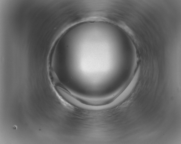 X0000071391430200607071856